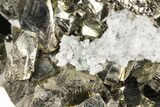Gleaming Pyrite Cluster - Peru #99142-1